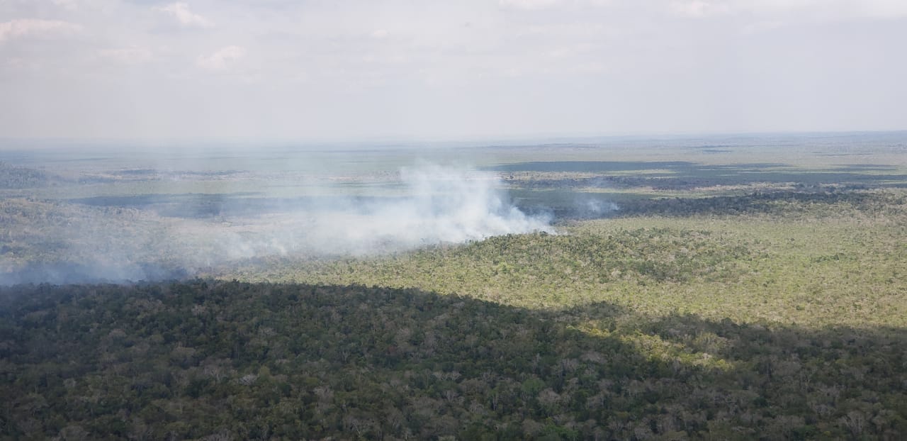 El incendio avanza hacia la zona núcleo del Parque Nacional Mirador Río Azul y Biotopo Dos Lagunas, en Petén. (Foto Prensa Libre: Cortesía Fundaeco)