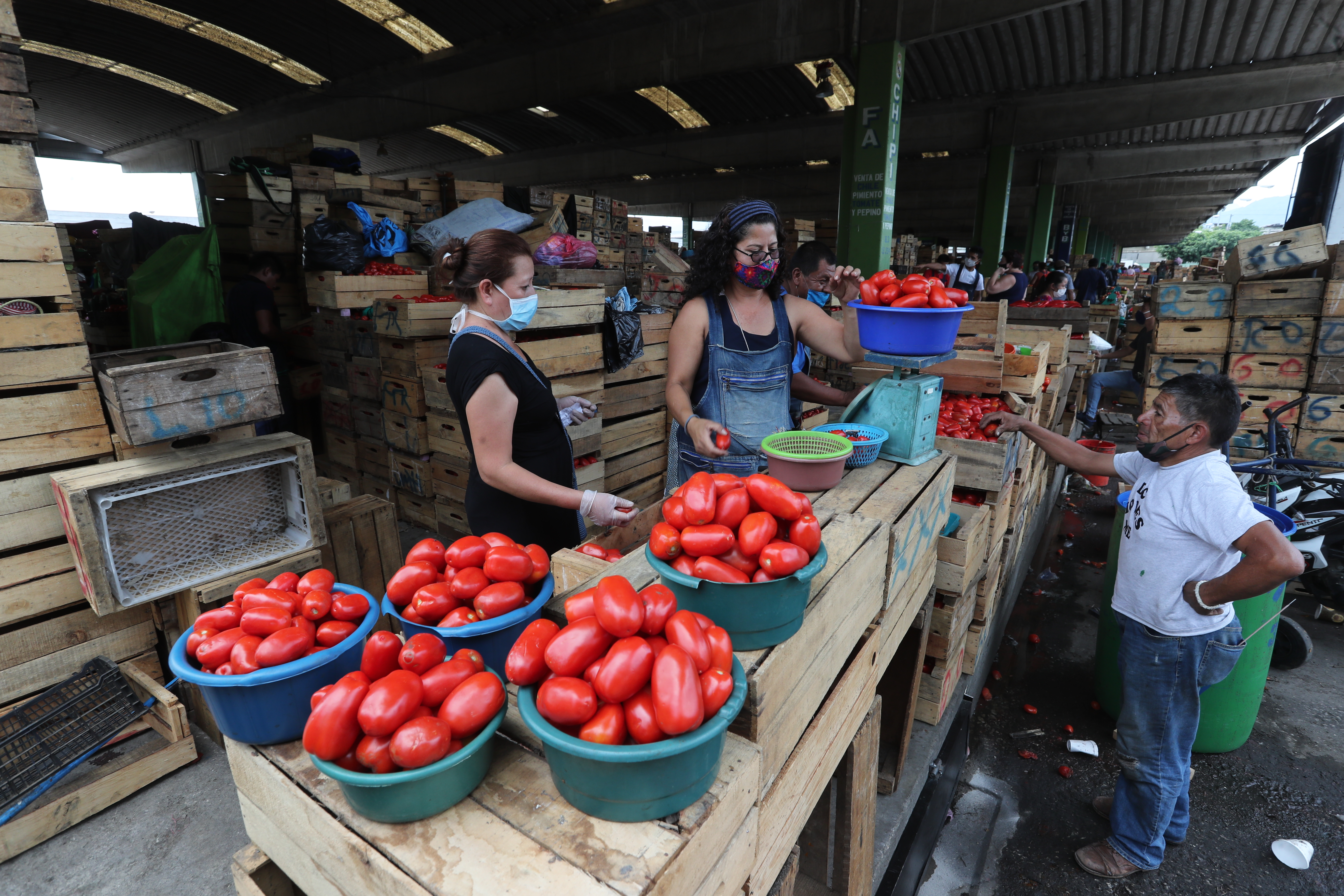 El tomate es uno de los productos que registra comportamiento al alza en el mercado por efecto estacional según los reportes de Diplan. (Foto Prensa Libre: Hemeroteca) 