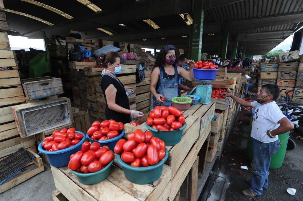El tomate es uno de los productos que registra un comportamiento al alza en el mercado por efecto estacional, según los reportes de Diplán.
