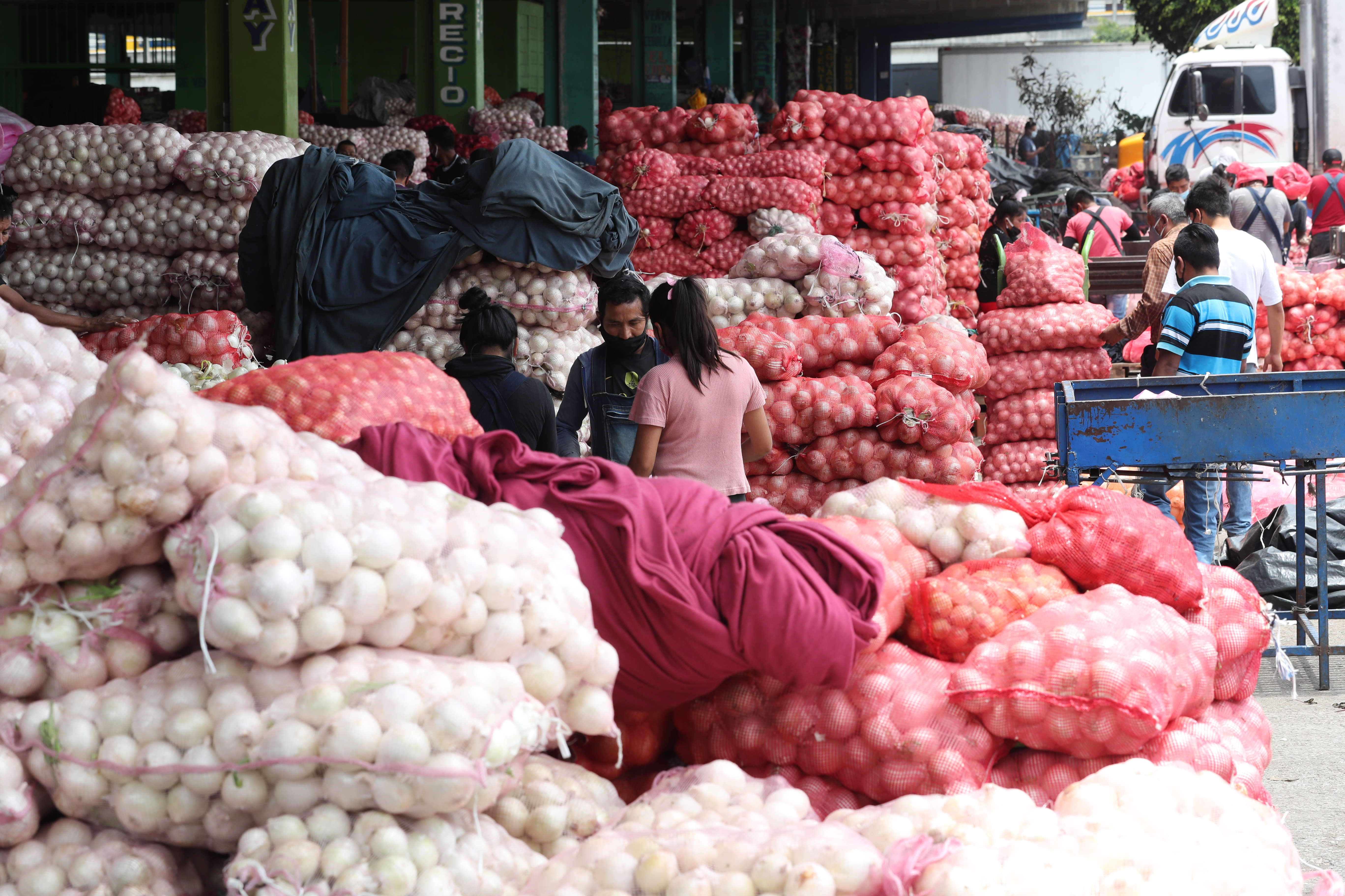 La cebolla fue uno de los productos que registró alza en septiembre, según el INE. (Foto Prensa Libre: Hemeroteca)