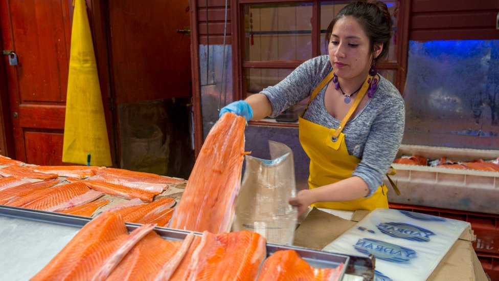 Las ventas de salmón se han desplomado en China.