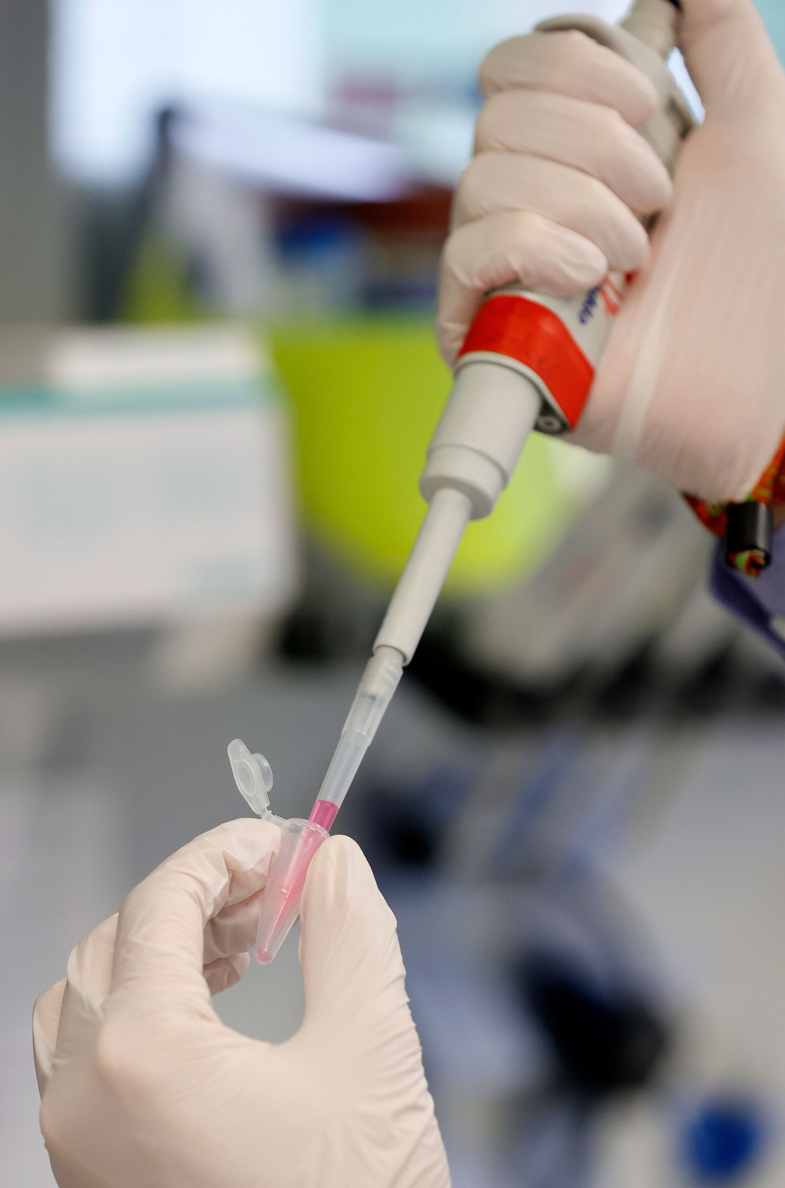Marburg (Germany), 08/06/2020.- A laboratory employee works in a Laboratory at the Institute of Virology at the University in Marburg, Germany, 08 June 2020. The Philipps University of Marburg, the German Centre for Infection Research (DZIF), the Ludwig Maximilian University of Munich (LMU) and the University Medical Centre Hamburg-Eppendorf (UKE) are jointly researching a vaccine against the SARS-CoV-2 coronavirus. Countries around the world are taking increased measures to stem the widespread of the SARS-CoV-2 coronavirus which causes the Covid-19 disease. (Alemania, Hamburgo) EFE/EPA/RONALD WITTEK