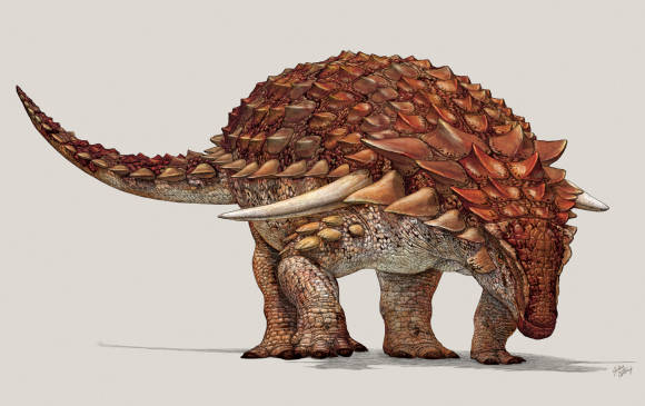 “Era un comensal exigente”: este fue el último banquete de un dinosaurio de mil 300 kilos