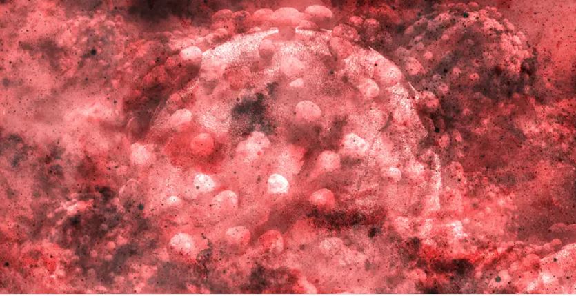 Shutterstock / Froghugger