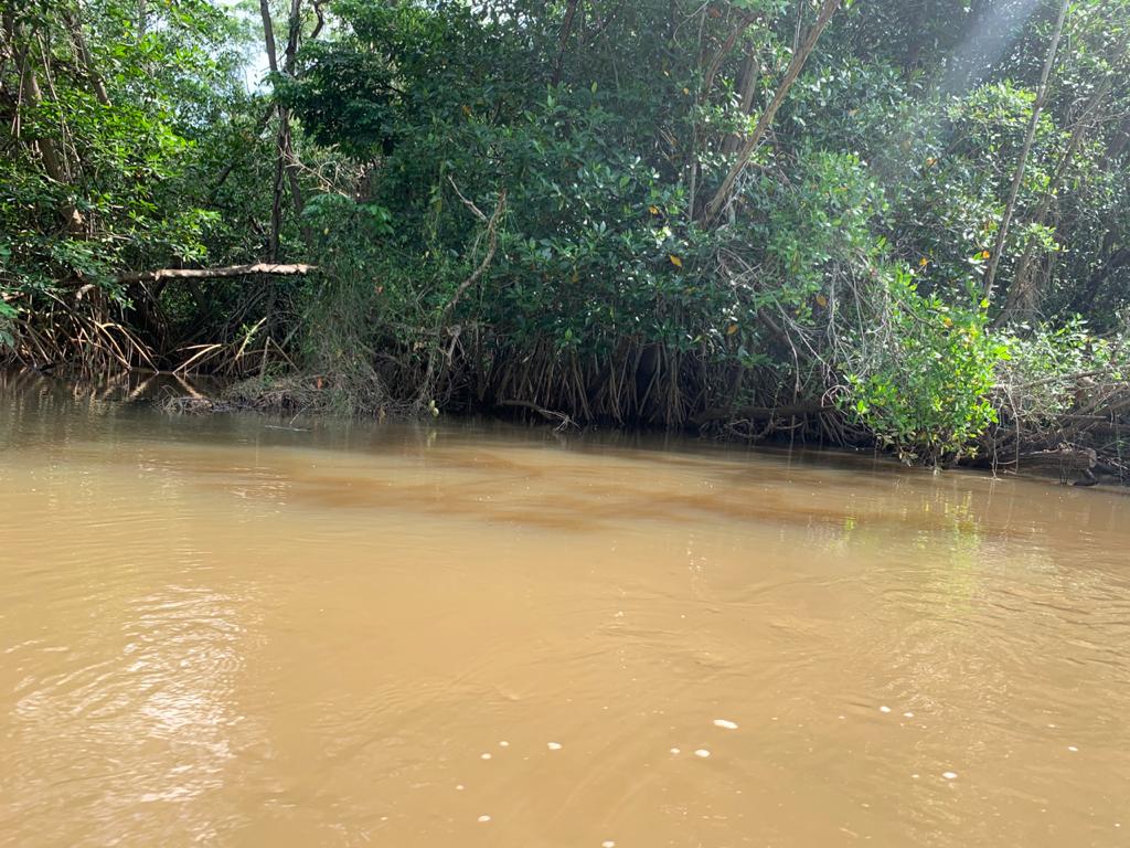 El agua contaminada en algunas partes del Río Ocosito. (Foto Prensa Libre: Cortesía Conap)