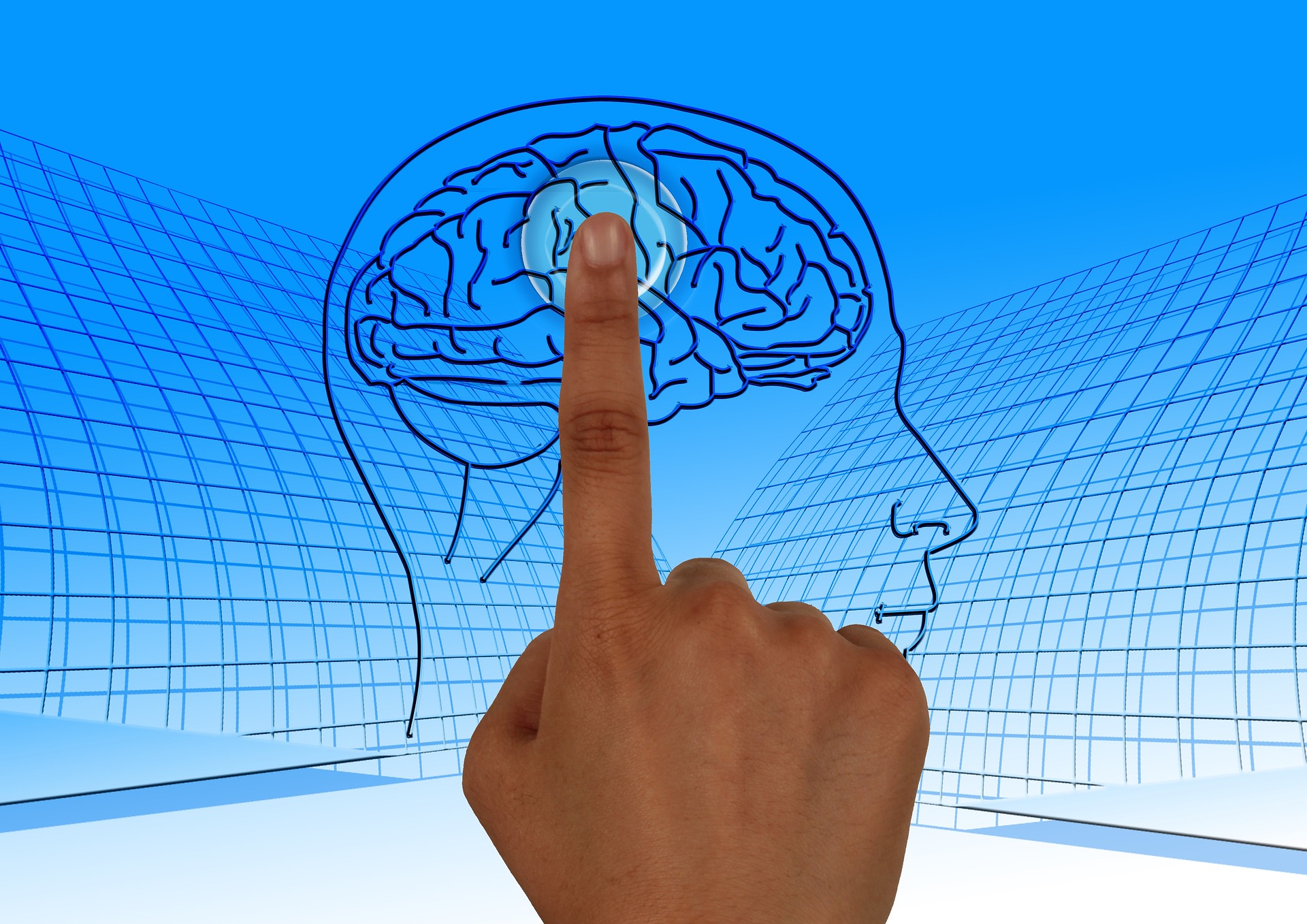 Expertos señalan que el cerebro es el órgano más importante. (Foto Prensa Libre: Pixabay)