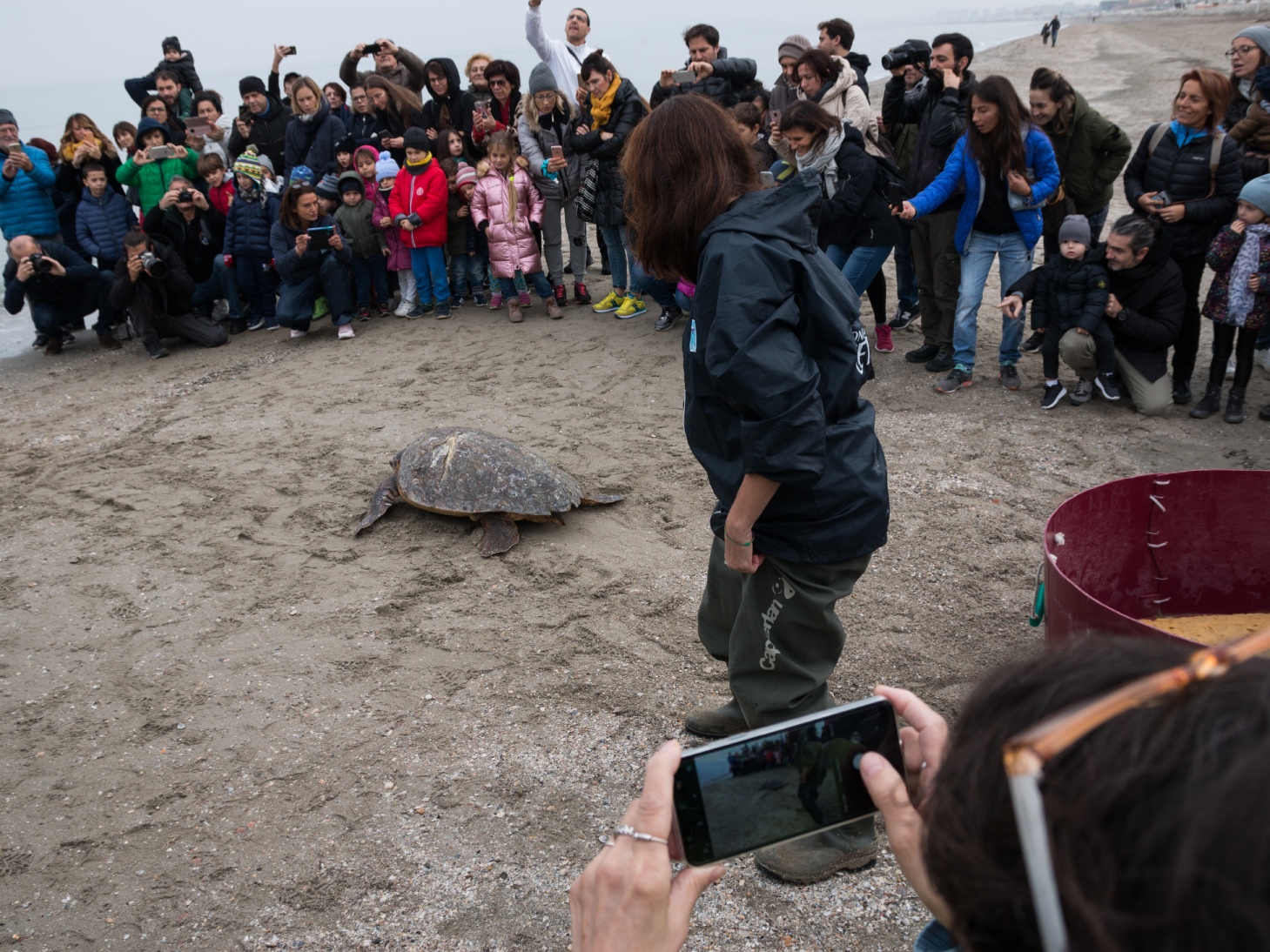 (Foto Prensa Libre: Daniele Marzocchi/Flickr, CC BY-NC)