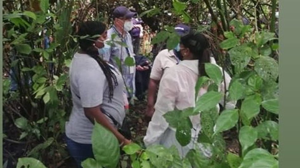 Los cuerpos sin vida de los jóvenes fueron encontrados en una zona boscosa a la orilla del lago Gatún. (Foto Prensa Libre: Ministerio Público de Panamá)