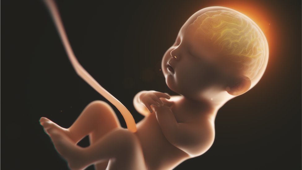 Si la madre está muy estresada, el cortisol que produce pasará al bebé a través de la placenta.