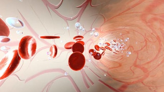 Recreación de moléculas de oxígeno y eritrocitos flotando en un vaso del torrente sanguíneo.