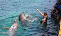 Una turista realiza una actividad con delfines, hoy jueves en un hábitat de Dolphin Discovery, en el balneario de Isla Mujeres. Los parques turísticos reabren con grandes medidas de higiene y seguridad después de casi tres meses de permanecer cerrados al público por el COVID-19 en el estado mexicano de Quintana Roo. EFE/Alonso Cupul