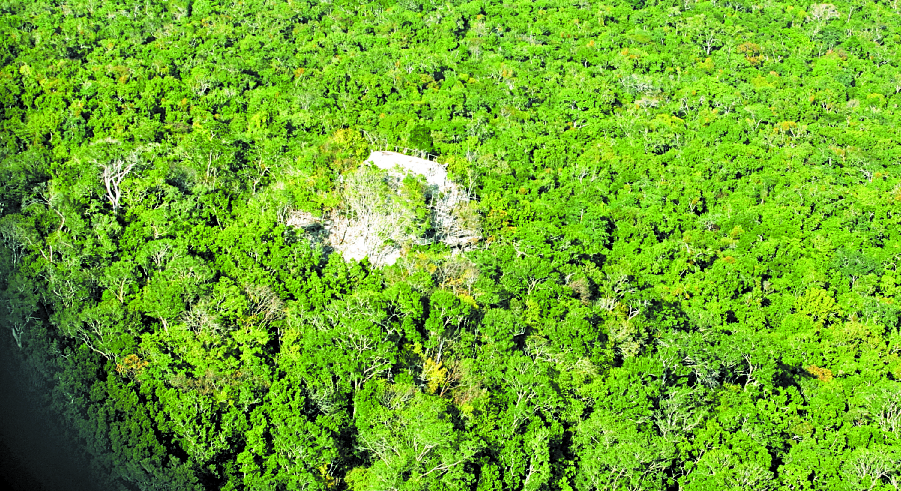 Vista aérea del Parque Nacional El Mirador, que abarca cuatro mil km cuadrados en Petén, donde se propone implementar un modelo de conservación y turismo sostenible. Foto Prensa Libre Hemeroteca