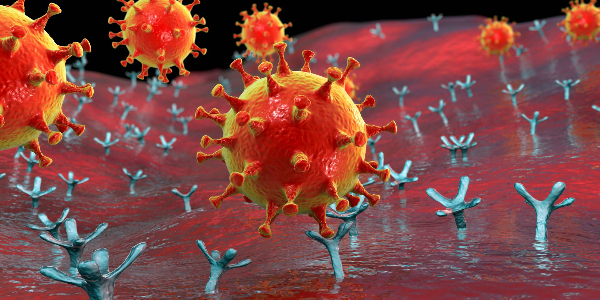 dibujo del virus SARS-CoV-2 y receptores ACE2 que se unen a una célula humana.
Shutterstock / Kateryna Kon