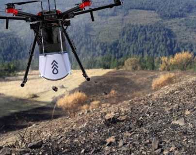 Por qué estos drones son considerados como el “arma secreta” contra la deforestación del planeta