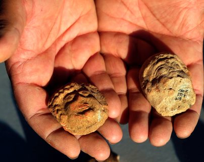 Hallazgo Prensa Libre