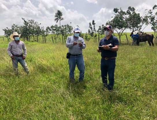 Representantes del sector agropecuario Centroamericano conocieron la situación y combate de los brotes de langosta en Guatemala por parte de Oirsa. (Foto Prensa Libre: cortesía MAGA)