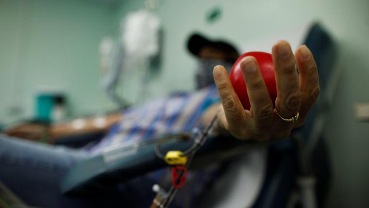 La formulación a base de anticuerpos equinos creada en Costa Rica es capaz de neutralizar el coronavirus. (Foto Prensa Libre: EFE)