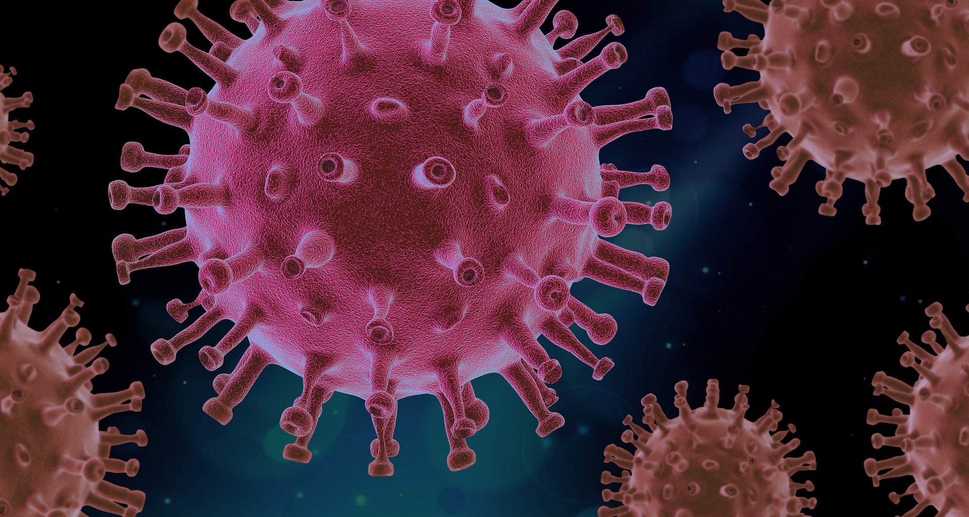 Un estudio en Suecia señala que que “muchas personas” con covid-19 leve o asintomático demuestran la llamada “inmunidad mediada” por células T. (Foto Prensa Libre: Pixabay)