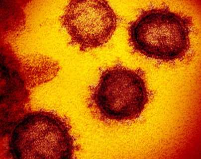 Tratamiento del coronavirus: ¿podremos curar la covid-19 engañando al virus?