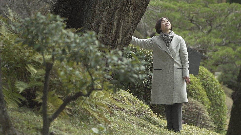 Tomoko Watanabe habló con la BBC en el jardín Shukkeien, junto al árbol de 300 años al que llama afectuosamente Tía abuela Gingko. (Foto Prensa Libre: BBC)