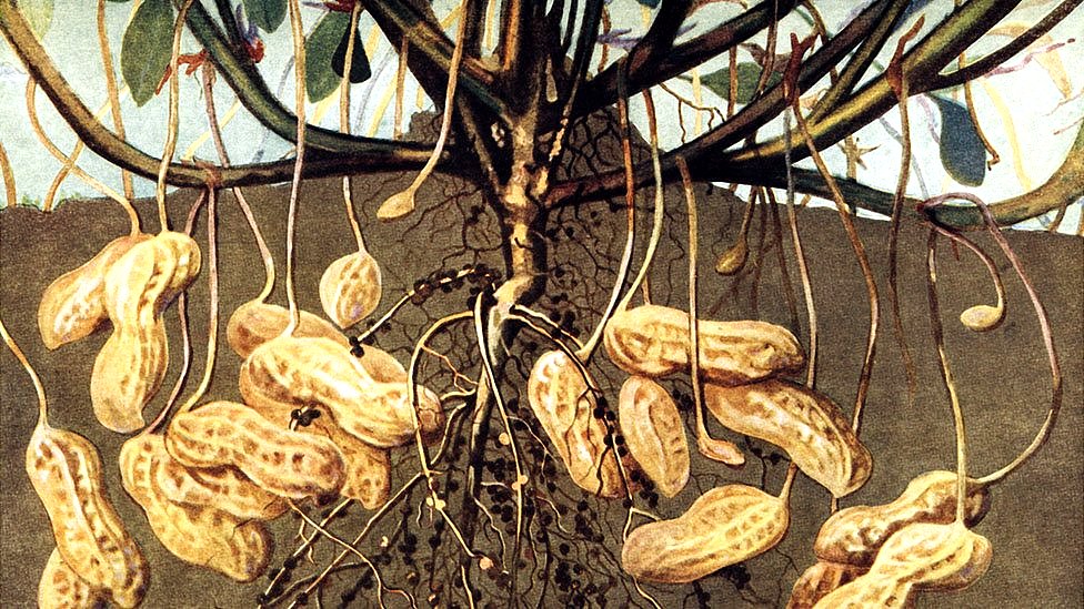 (Foto Prensa Libre: Getty Images)