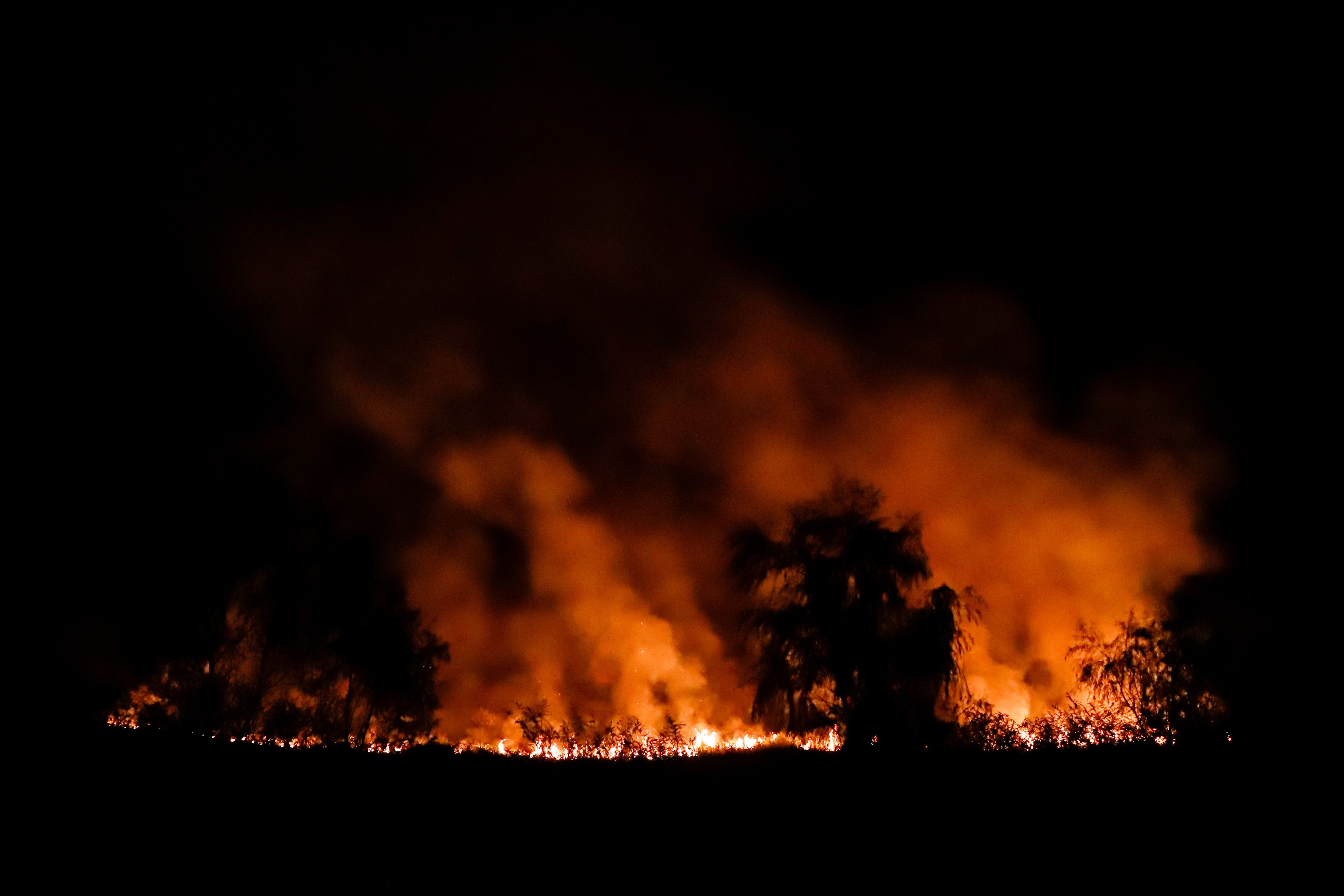 Vista de un incendio que duró por más de diez horas en la reserva biológica Banco San Miguel, hoy en la Costanera de Asunción, Paraguay. (Foto Prensa Libre: EFE)