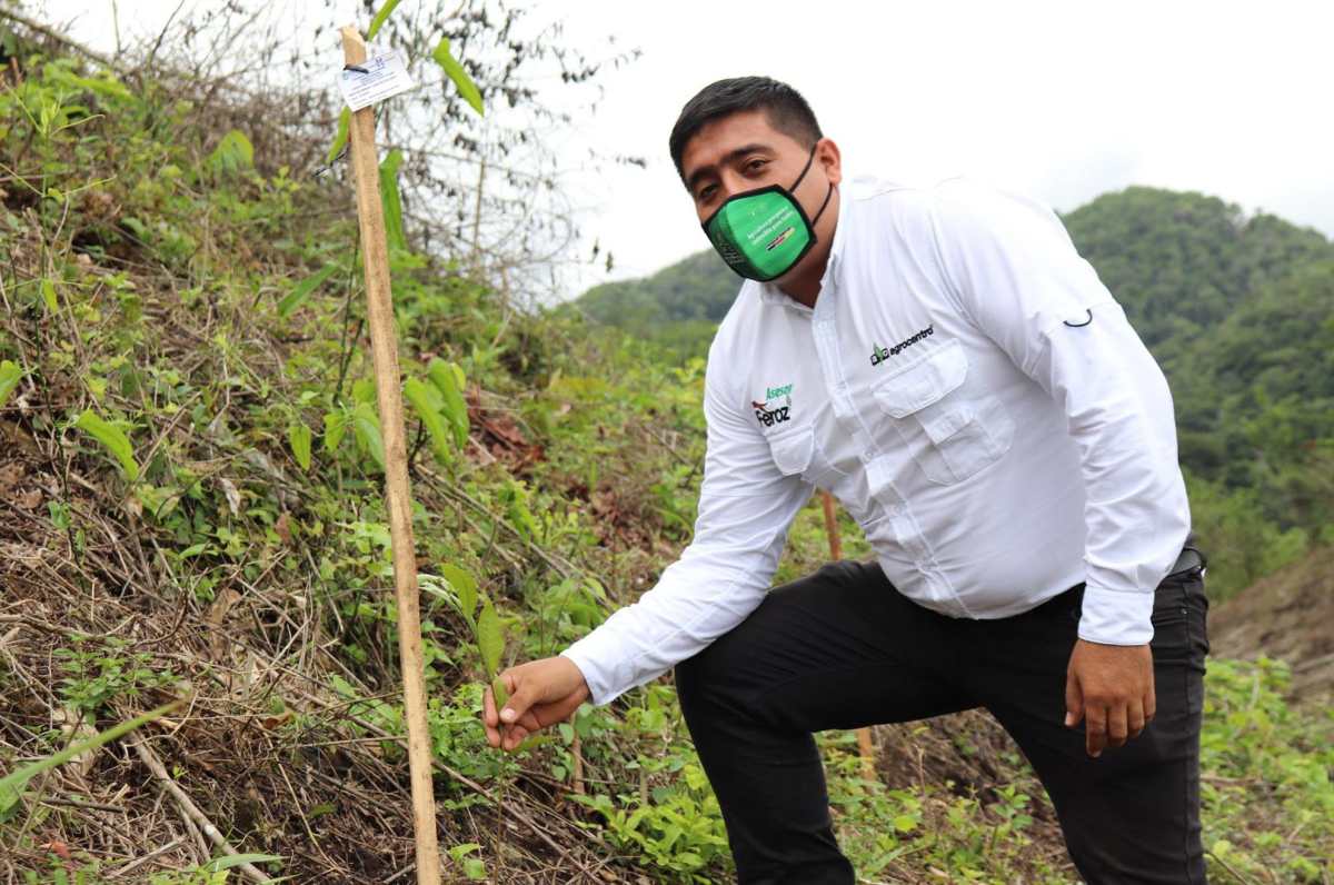 Organización busca reforestar para propiciar la lluvia