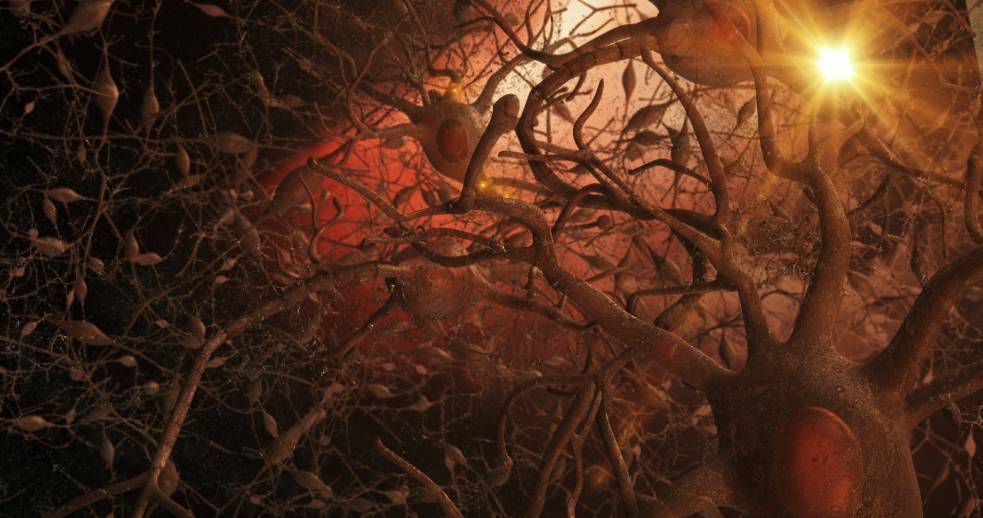 Shutterstock / 3Dme Creative Studio