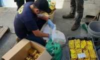Incautación de drogas en la empresa Pan Atlantic Carrier, S.A., que está vinculada al caso La Línea. (Foto Prensa Libre)