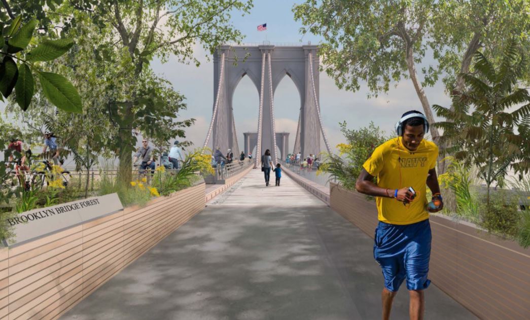 Madera de Petén adornará el emblemático puente de Brooklyn en Nueva York