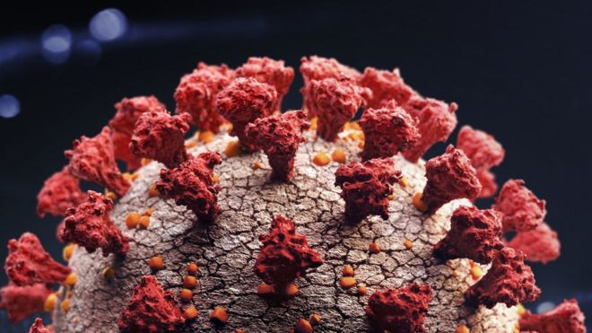 La pandemia del coronavirus ha causado millones de muertes a nivel mundial. GETTY