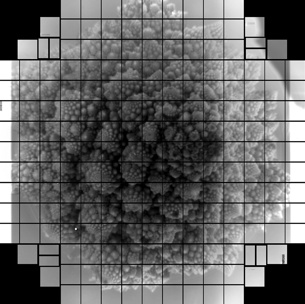 Una cabeza de brócoli fue fotografiada por la cámara de 3.200 megapíxeles que se instalará en el Observatorio Vera Rubin en Chile.