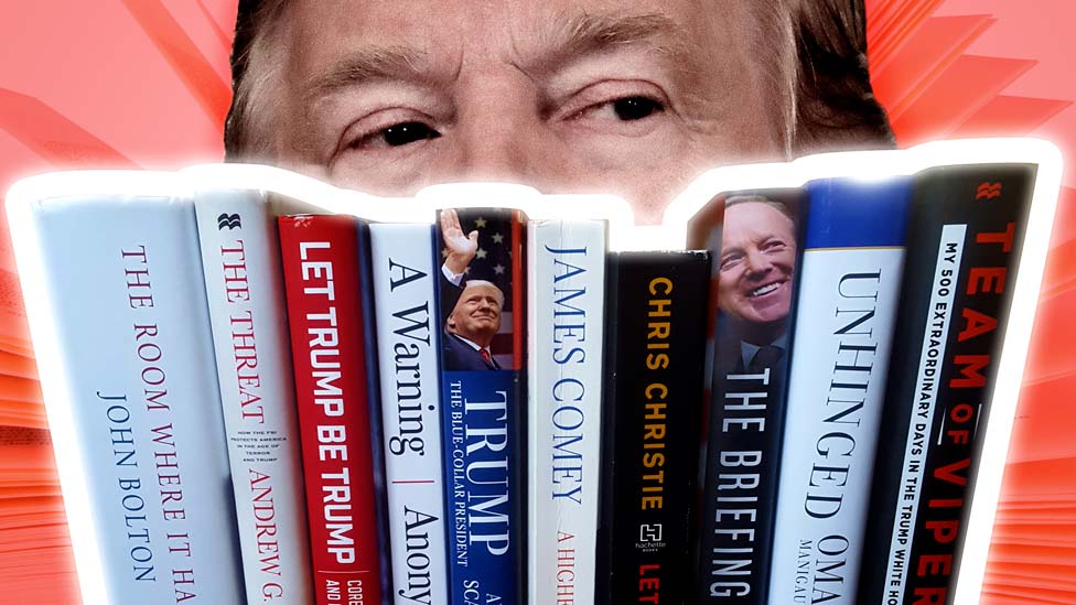 Se han escrito muchos libros sobre la presidencia de Trump.