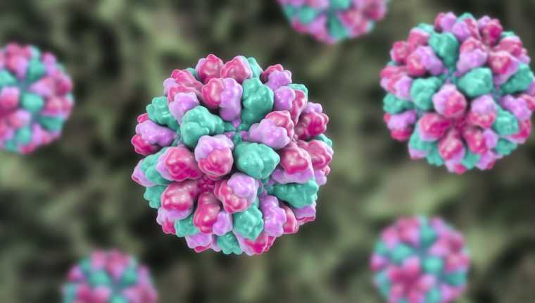 Los virus no son tan malos como creemos. Esta es una ilustración de un norovirus.