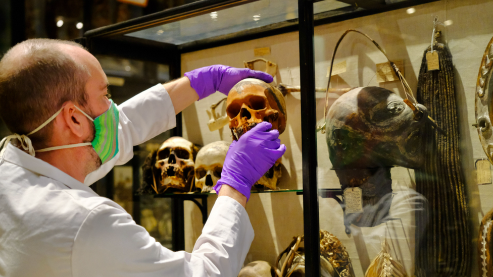 La retirada de los cráneos humanos, muchos de ellos reducidos en tamaño por una práctica de tribus de la cuenca amazónica, se produce por un proceso de descolonización. (Foto Prensa Libre: Museo Pitt Rivers, Universidad de Oxford)