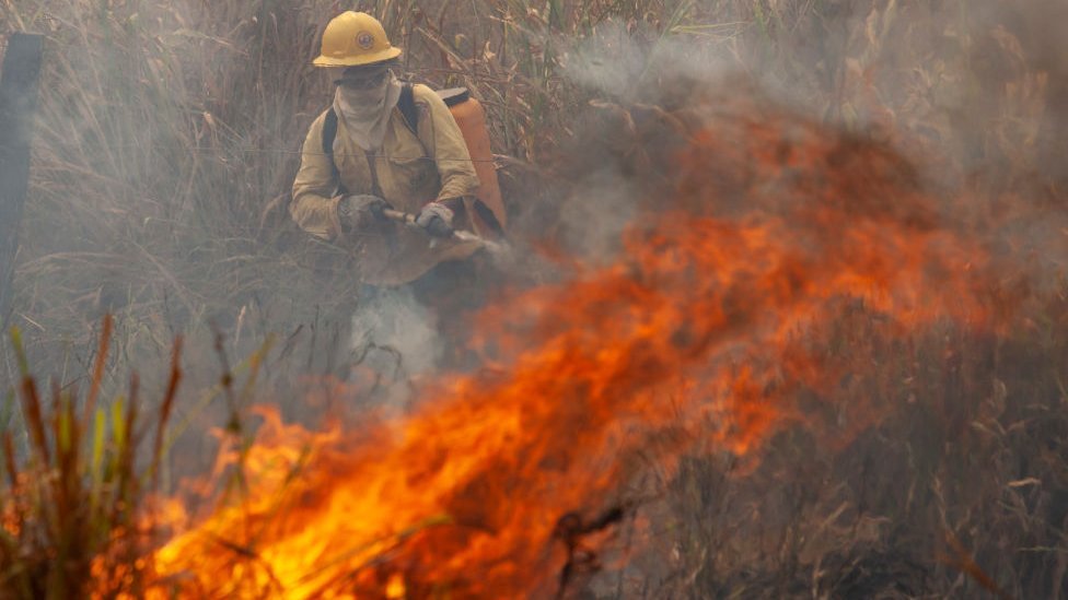 Parte de la atención mediática está centrada en los incendios en California, pero los fuegos también abrasan Sudamérica. (Foto Prensa Libre: Getty Images)