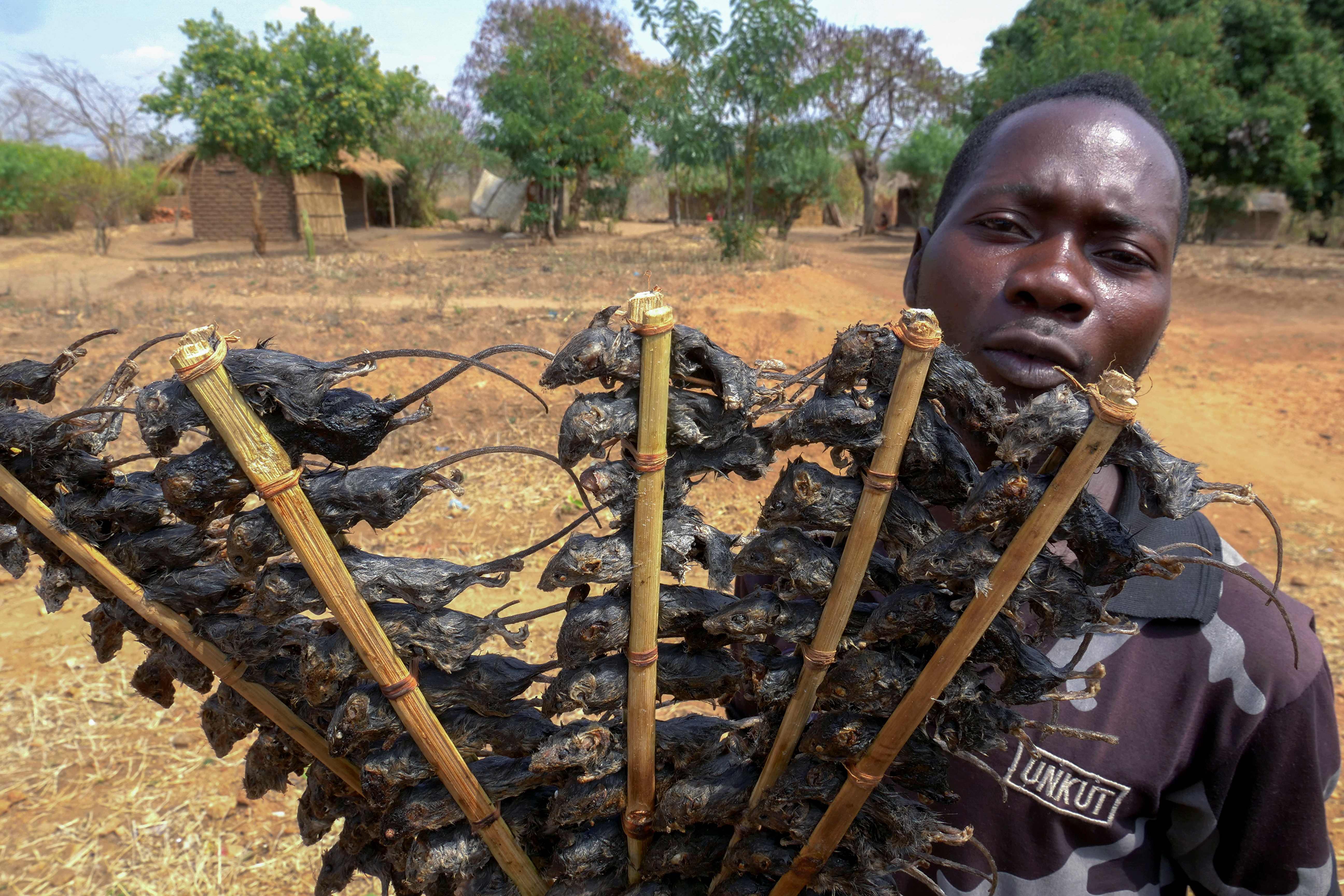 Un hombre vende brochetas de ratón en Malaui para ahuyentar el hambre.