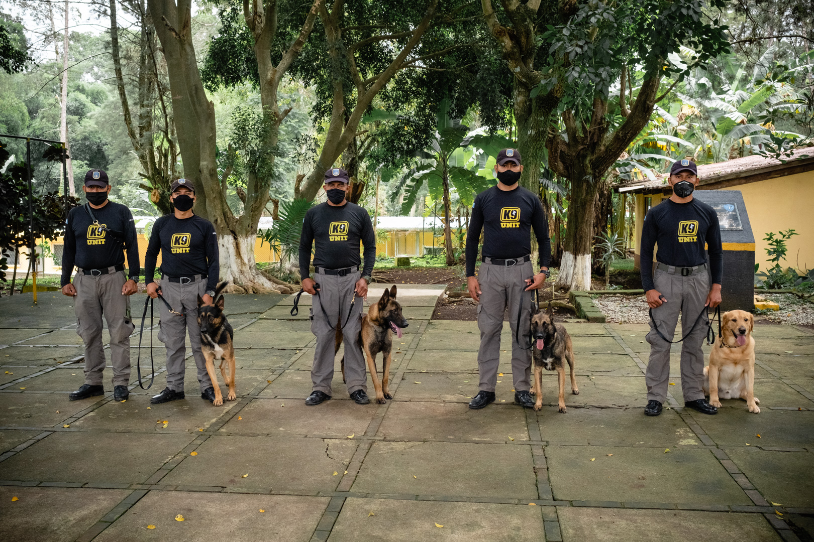 Los agentes caninos junto a sus cuidadores. Foto Prensa Libre: SBS.