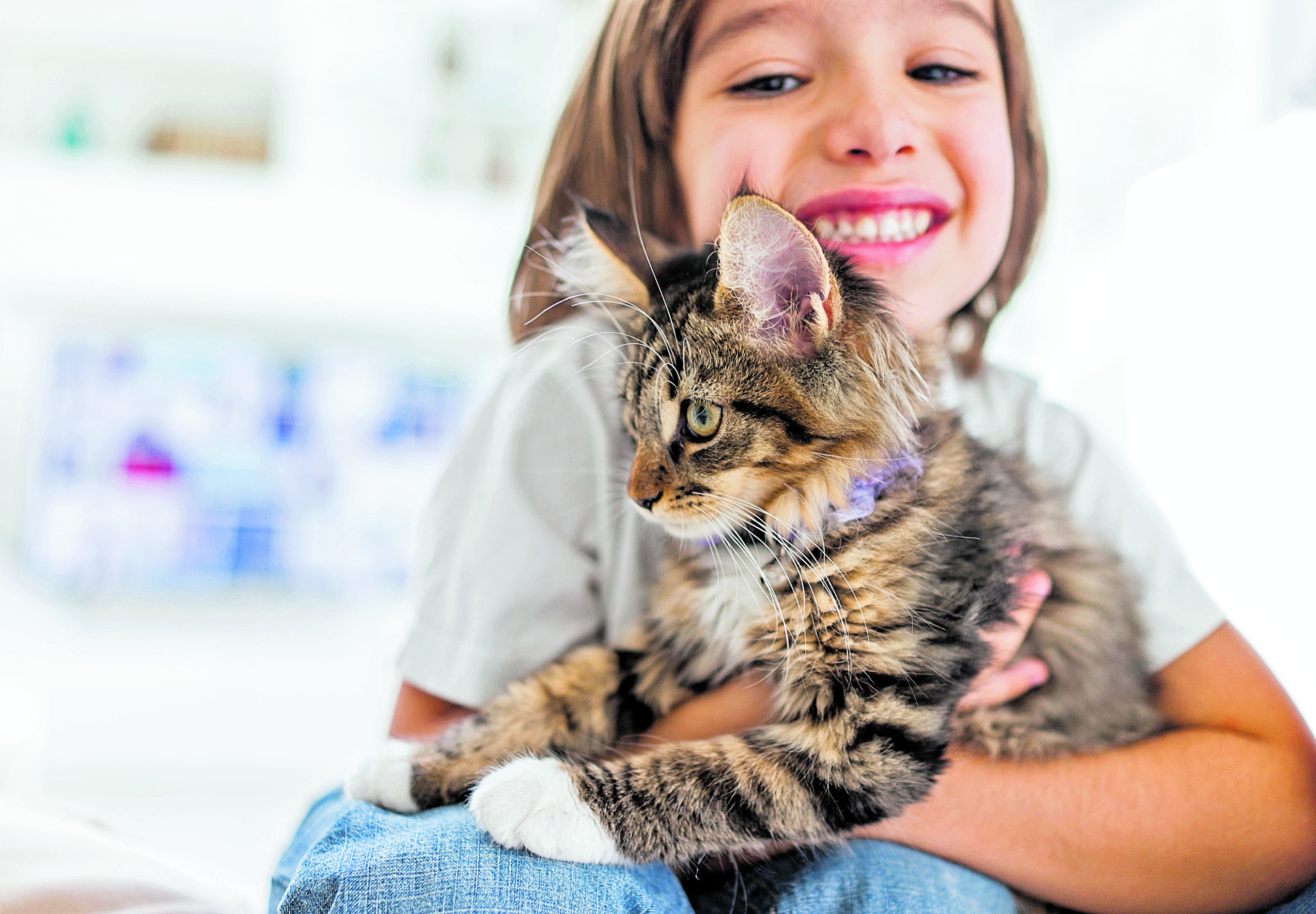 Cuando se tiene una mascota, una buena convivencia con todos los miembros de la familia es ideal para un ambiente tranquilo. (Foto Prensa Libre: Shutterstock).