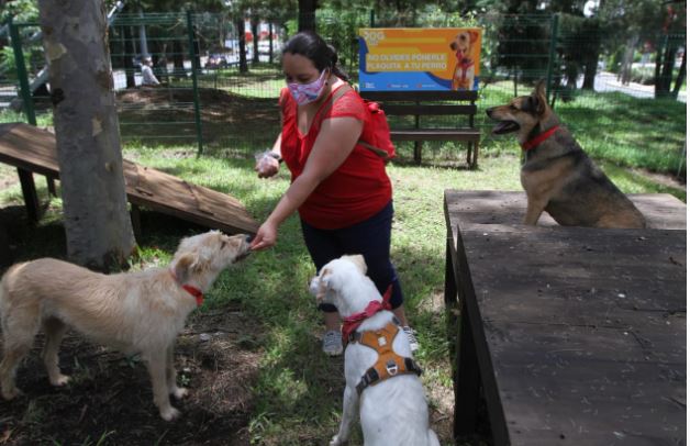 El parque para perros en Mixco fue habilitado este 18 de septiembre. (Foto Prensa Libre: Comuna de Mixco) 