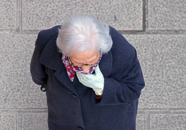 Shutterstock / Fercast