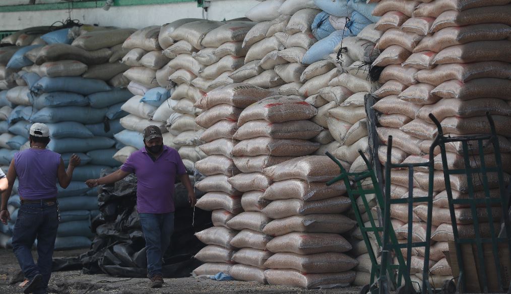 ¿Era necesaria la autorización para importar 135 mil toneladas de arroz y maíz? Esto opinan los productores