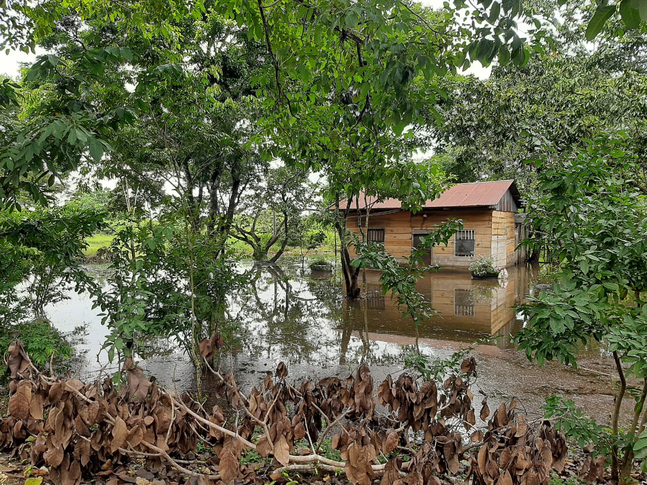 El desbordamiento del río Sayaxché también provocó daños en viviendas en Petén. (Foto Prensa Libre: Conred)