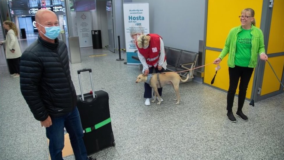 A los pasajeros que llegan a Finlandia se les pide que se froten con un papel para que el perro lo olfatee.