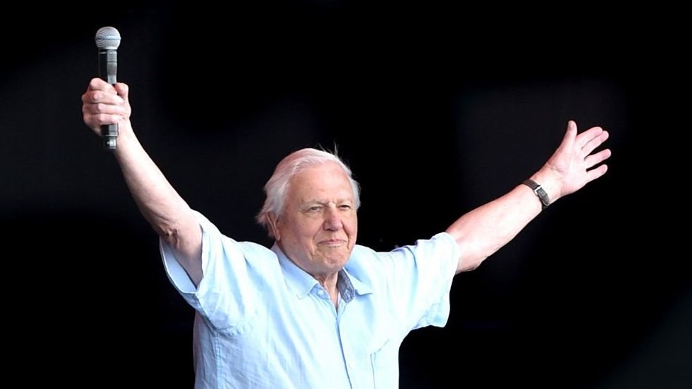 David Attenborough atrae a la gente joven, no solo por sus posteos en Instagram. El año pasado fue ovacionado como una estrella del rock en el Festival de Glastonbury.