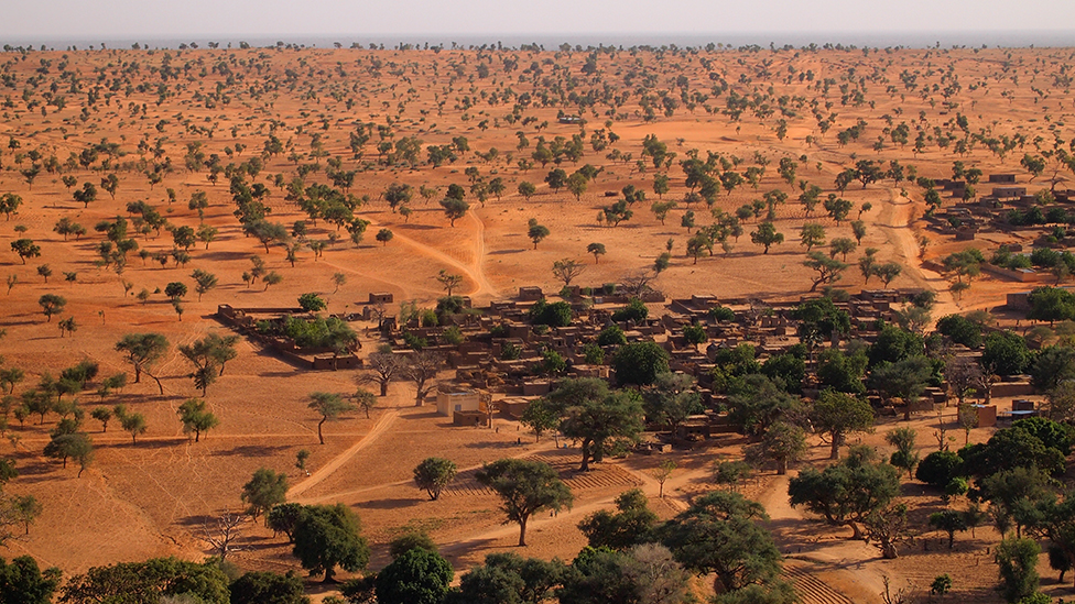 El Sahara y el Sahel tienen muchísimos más árboles de lo que se creía.