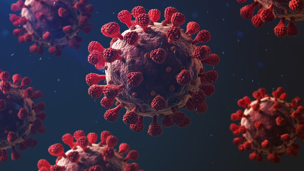 El coronavirus afecta más a unos organismos que a otros y los expertos empiezan a conocer las razones.