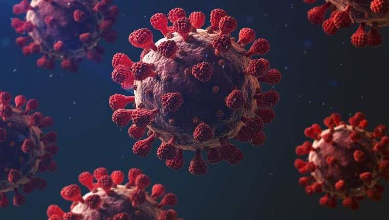 ¿Será el SARS-CoV-2 uno más de la larga lista de virus endémicos que afectan a los humanos?