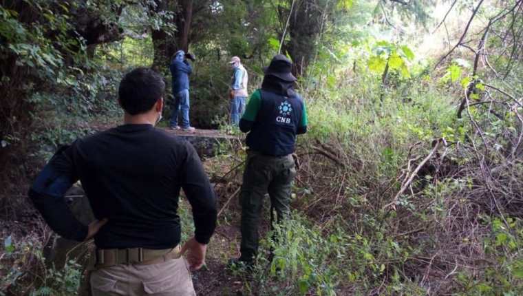 Los trabajos de búsqueda y excavación comenzaron el pasado 20 de octubre en el municipio de Salvatierra.