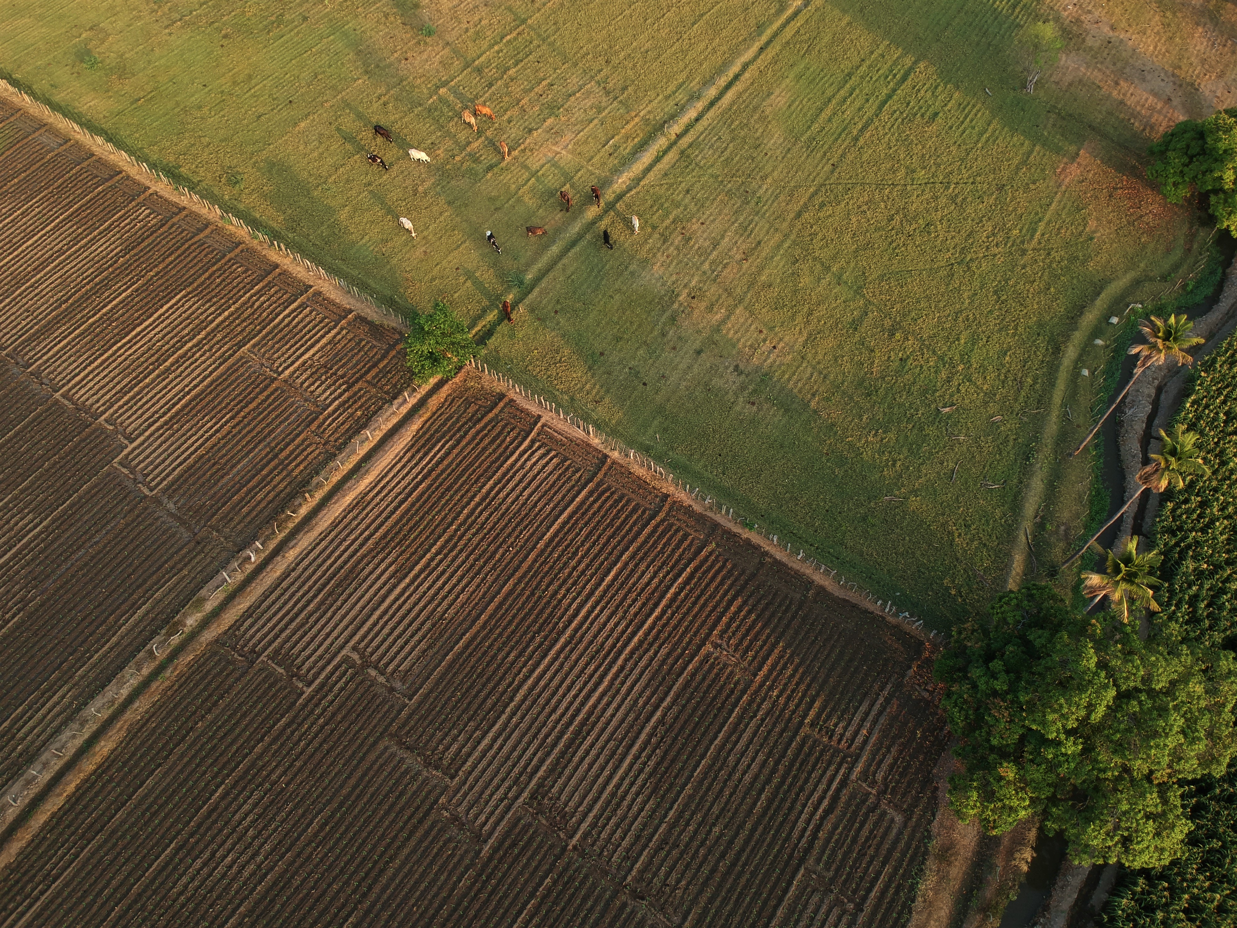 A lo largo del año, según la región y el  tipo de cultivo se pueden observar campos recién arados, listos para la siembra. Al caer la lluvia se percibe ese aroma tan esperanzador que llena de vida.  (Foto Prensa Libre: Carlos Hernández)